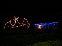 Another angle on George & Liz's lights.